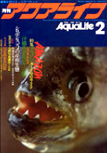 ANACt1980N2